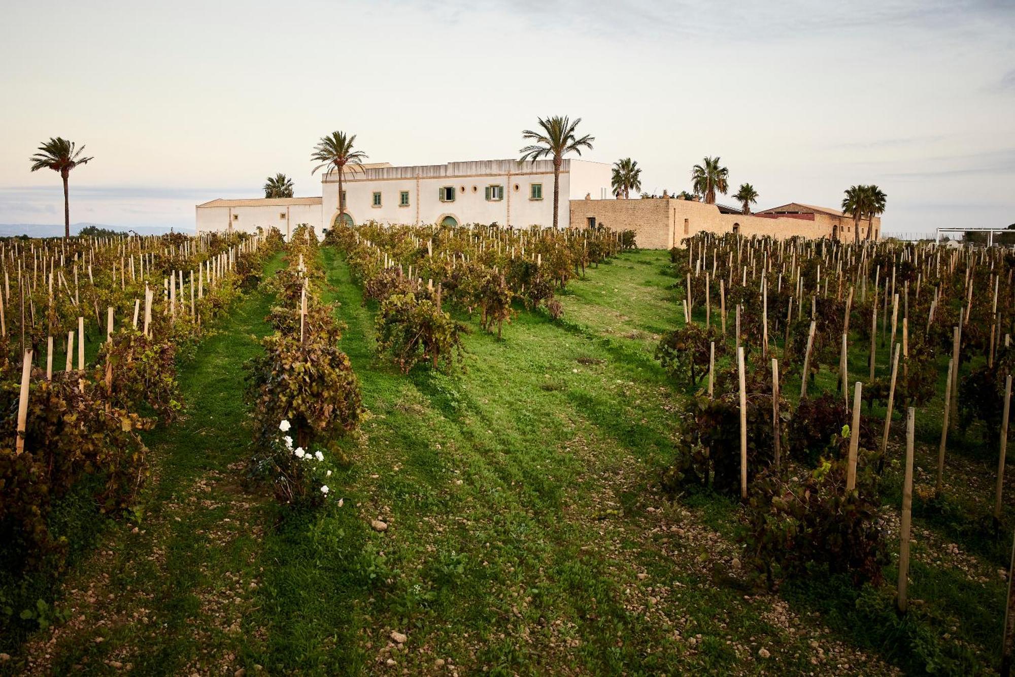 Agriturismo Baglio Donnafranca Wine Resort مارسالا المظهر الخارجي الصورة