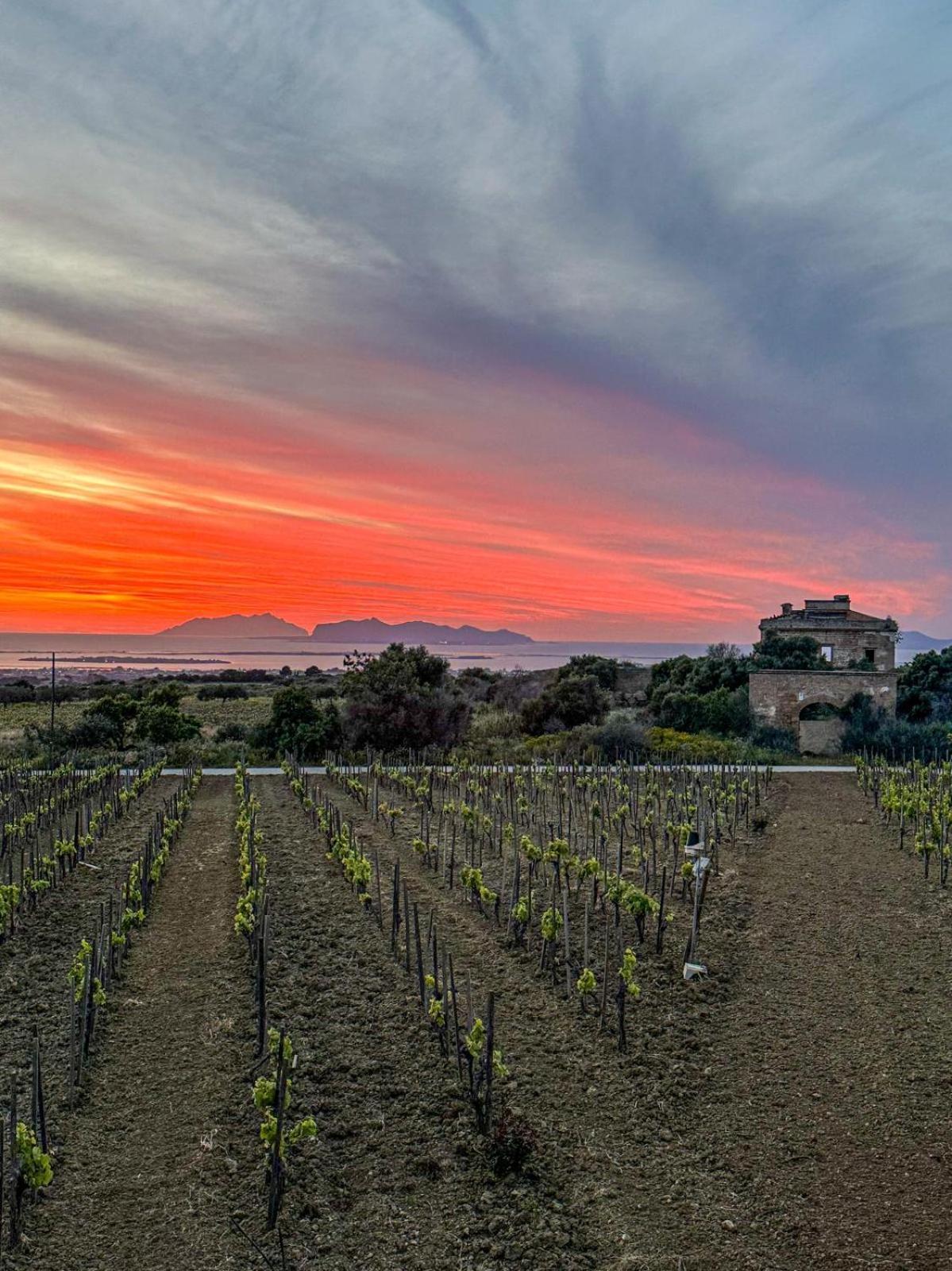 Agriturismo Baglio Donnafranca Wine Resort مارسالا المظهر الخارجي الصورة