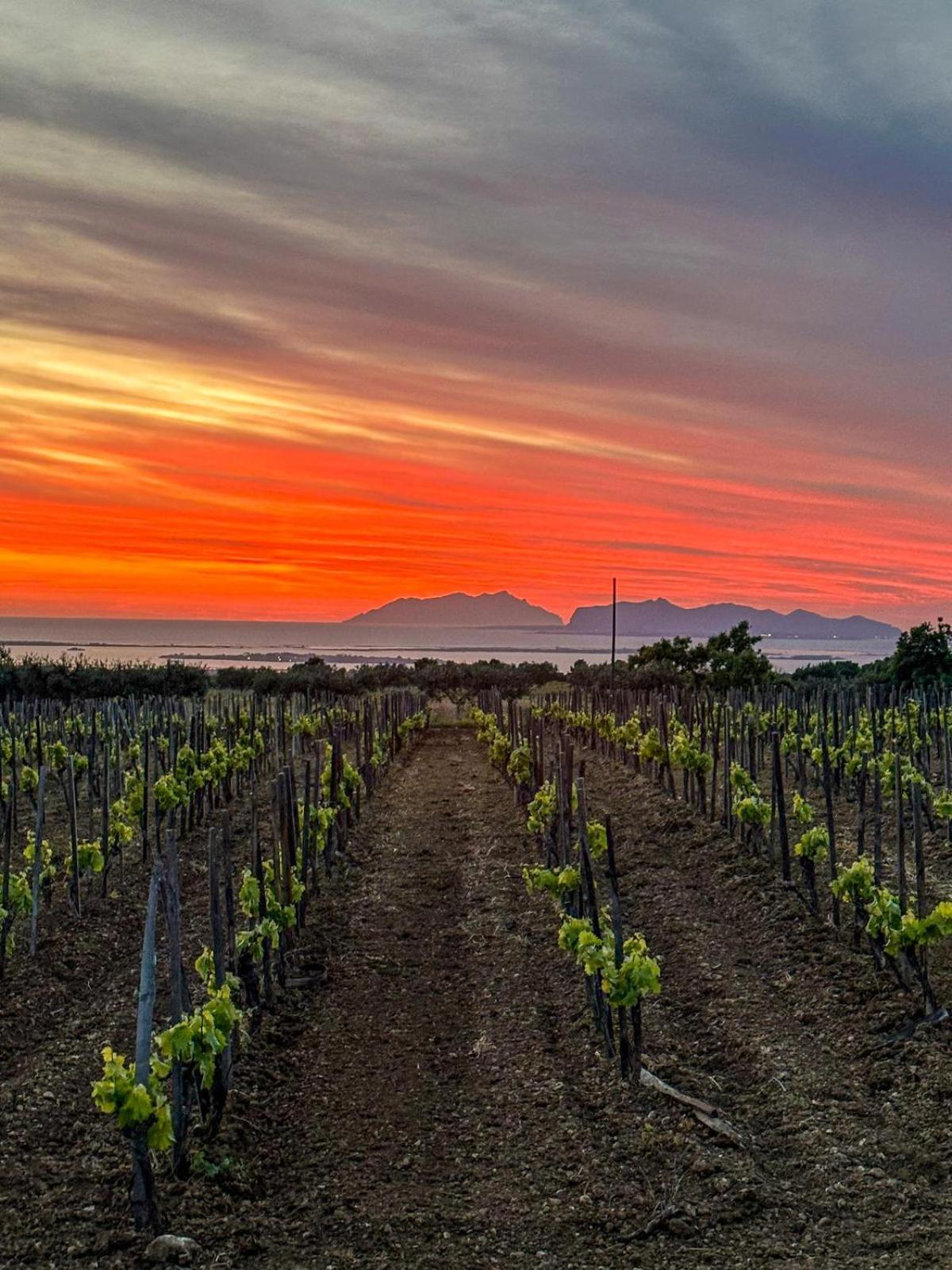 Agriturismo Baglio Donnafranca Wine Resort مارسالا المظهر الخارجي الصورة