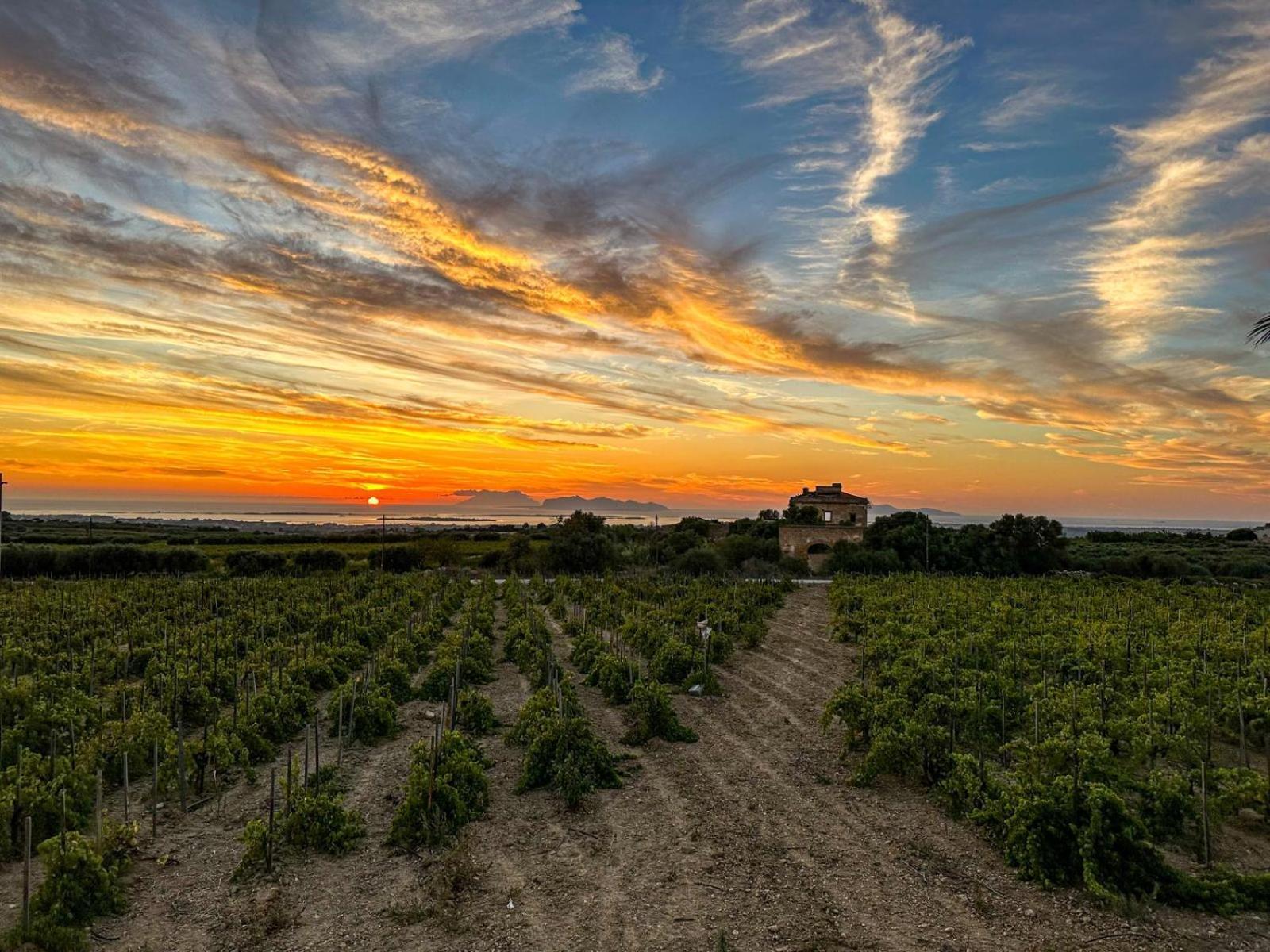 Agriturismo Baglio Donnafranca Wine Resort مارسالا المظهر الخارجي الصورة